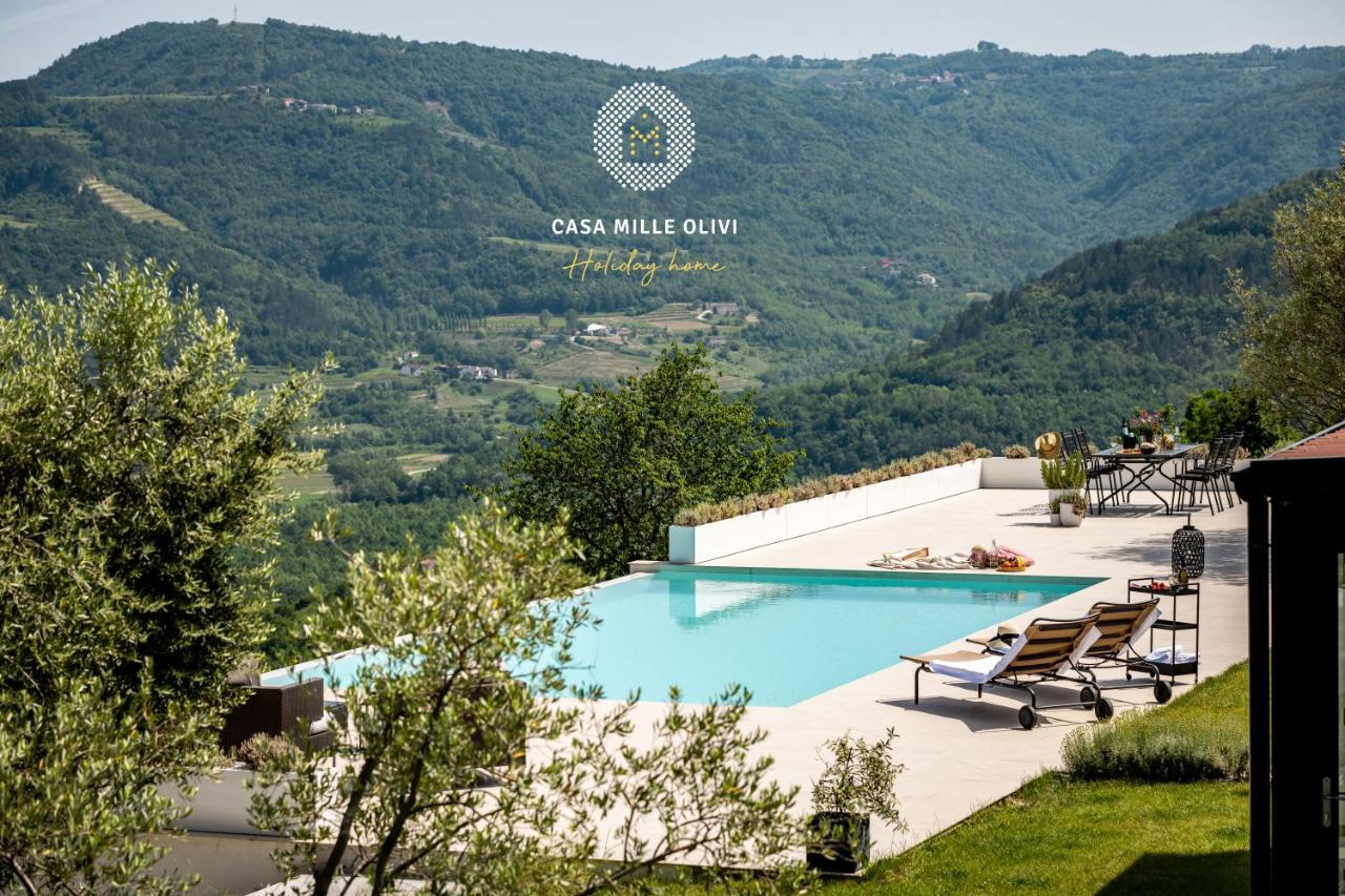 Casa Mille Olivi Villa Buzet Exterior photo