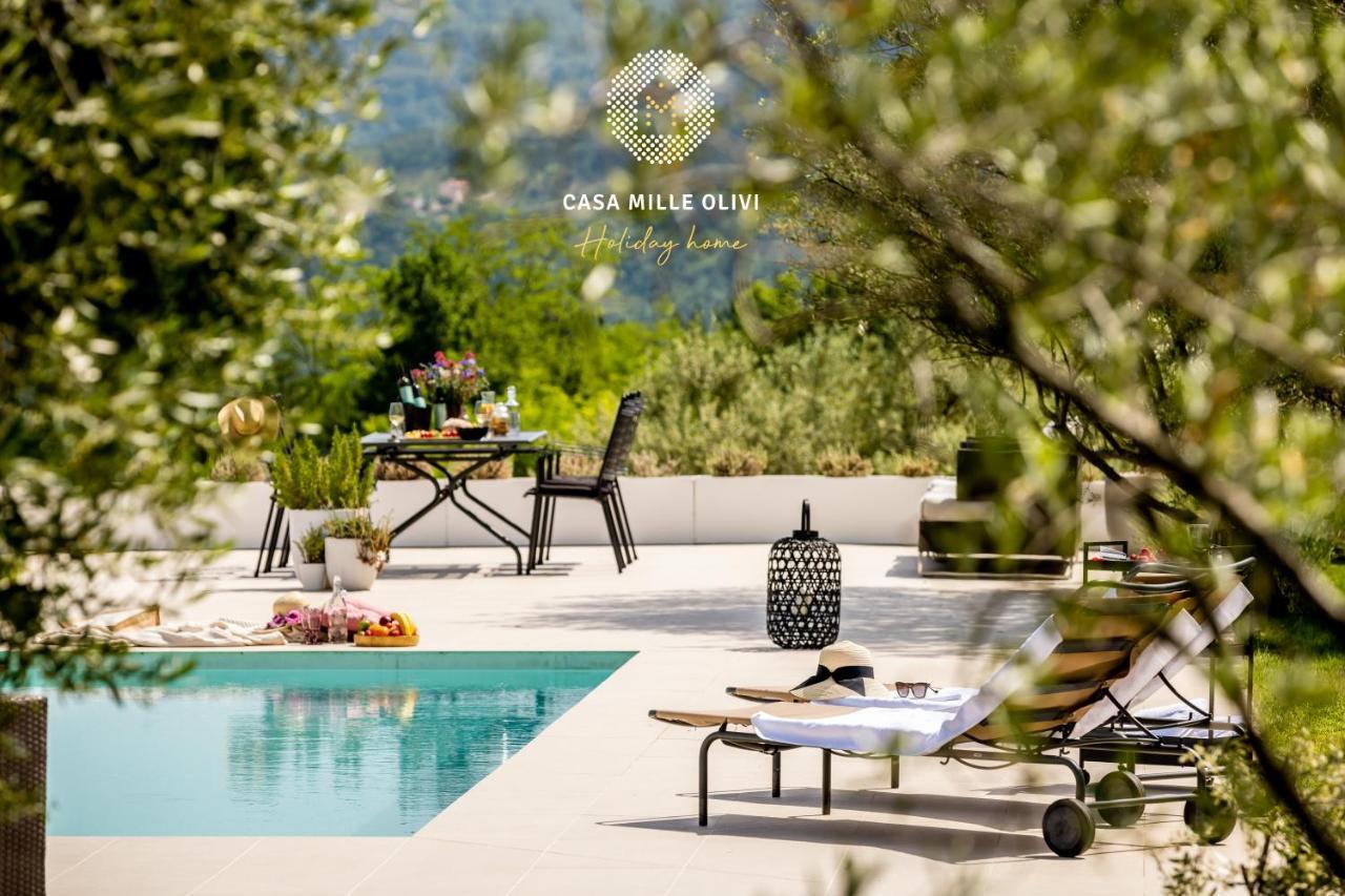 Casa Mille Olivi Villa Buzet Exterior photo