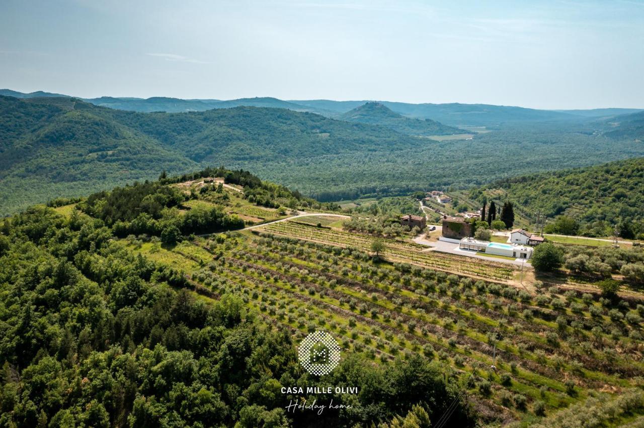 Casa Mille Olivi Villa Buzet Exterior photo